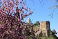 Tbilisi