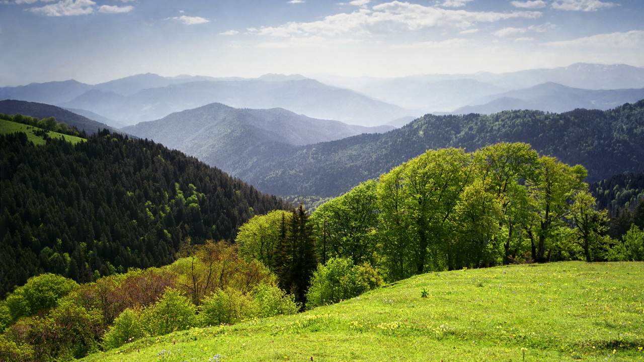 Borjomi-Kharagauli national park