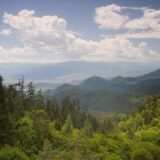 Borjomi-kharagauli national park