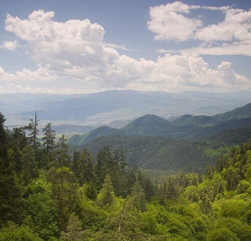 12 hiking trails in Borjomi-Kharagauli national park