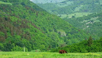 Highlander travel national parks of georgia list