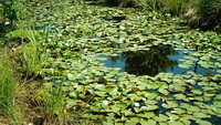 Highlander travel national parks of georgia list