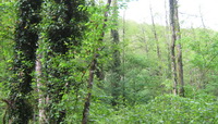 Highlander travel national parks of georgia list