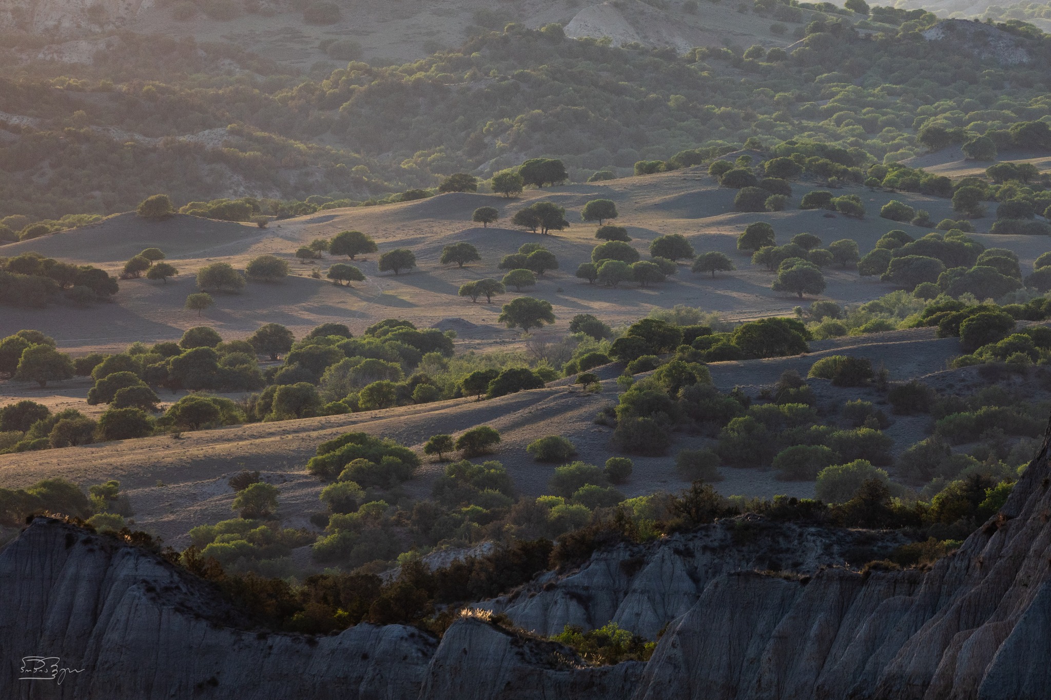 Vashlovani. By Teimuraz Popiashvili