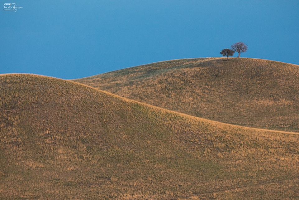 Vashlovani National Park: Georgia's Wild East | Safari Tours & Leopard Territory 2 Vashlovani