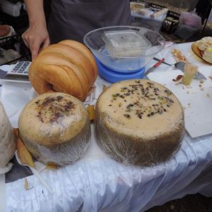 Фестиваль сыра