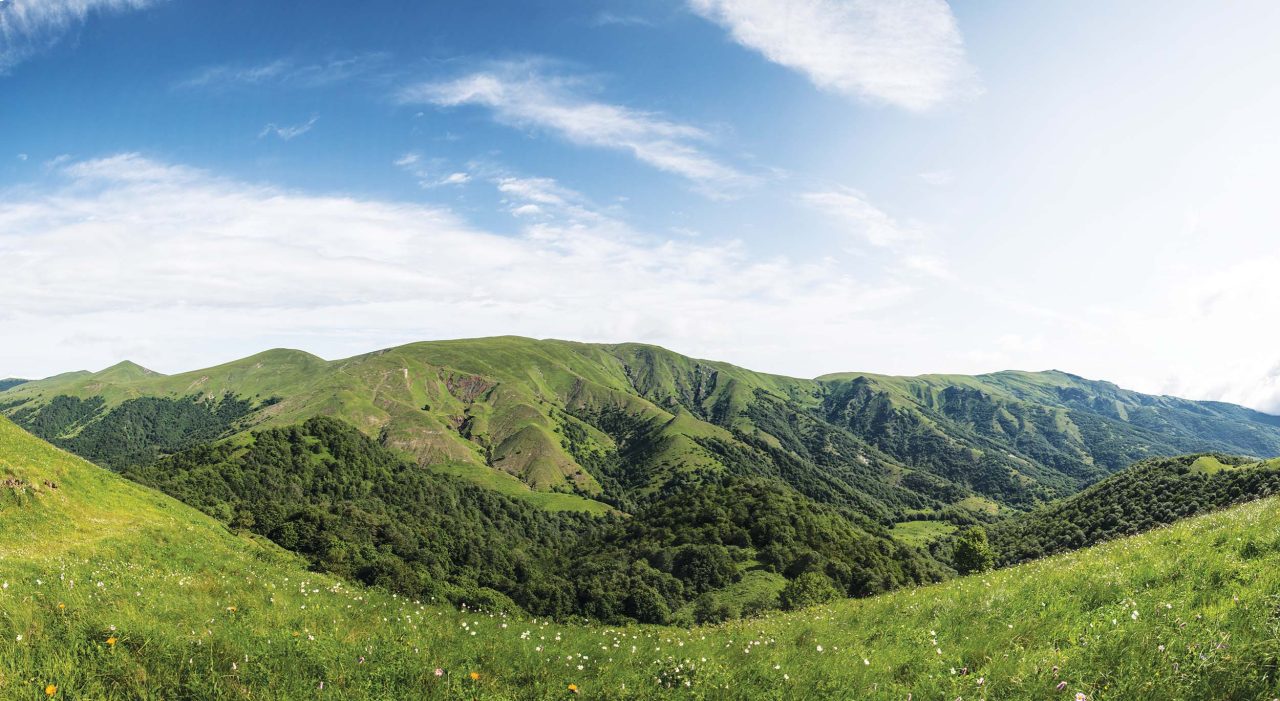 Protected Areas and National Parks of Georgia: The Complete 2026 Guide 17 Algeti