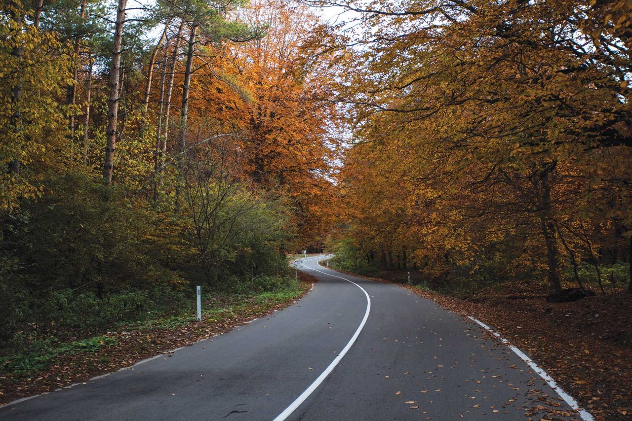 Protected Areas and National Parks of Georgia: The Complete 2026 Guide 14 Tbilisi protected area