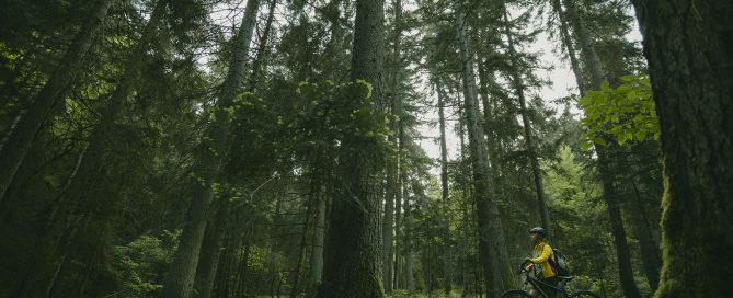 Protected Areas and National Parks of Georgia: The Complete 2026 Guide 10 National parks of Georgia