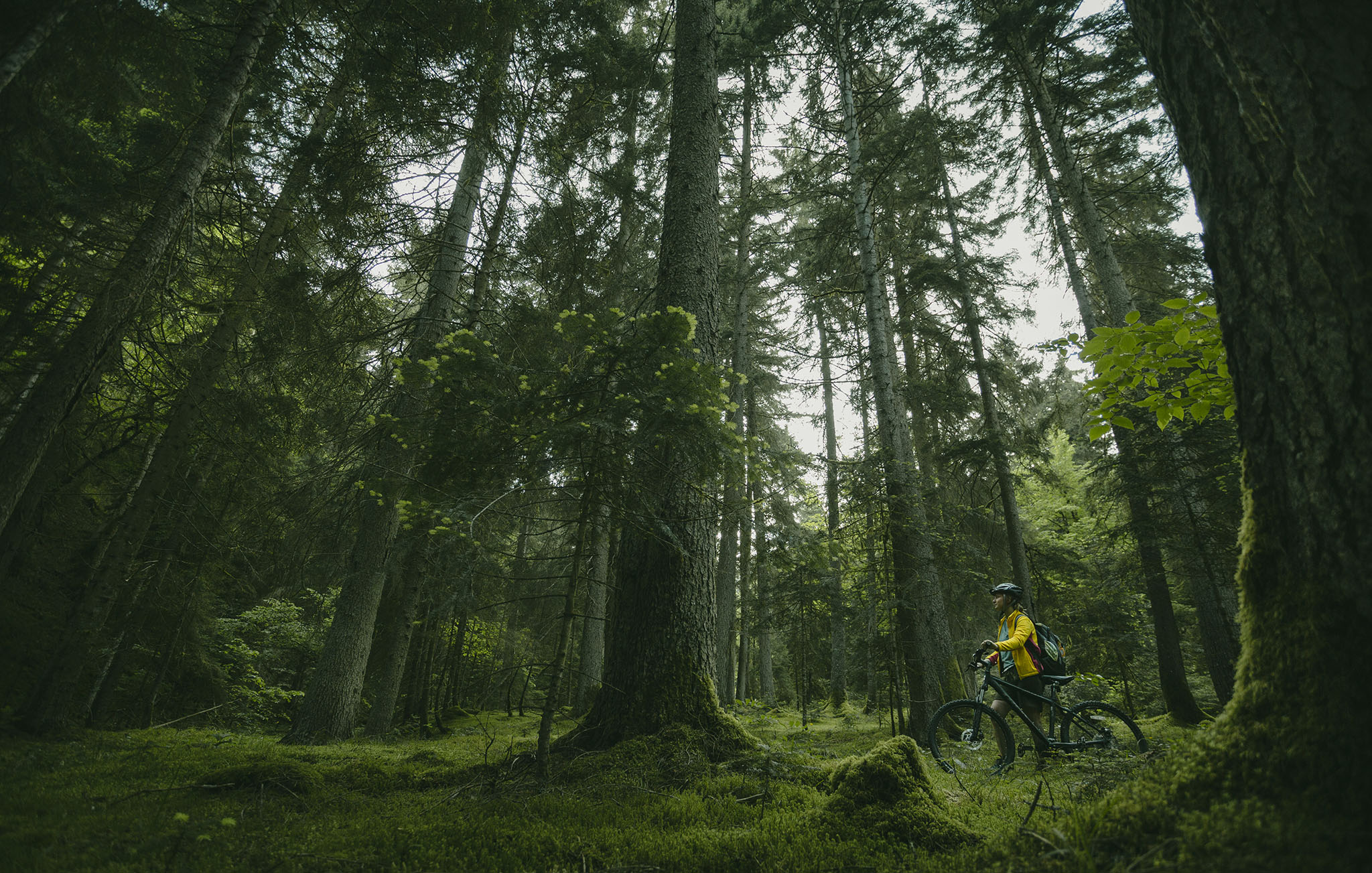 National parks of Georgia