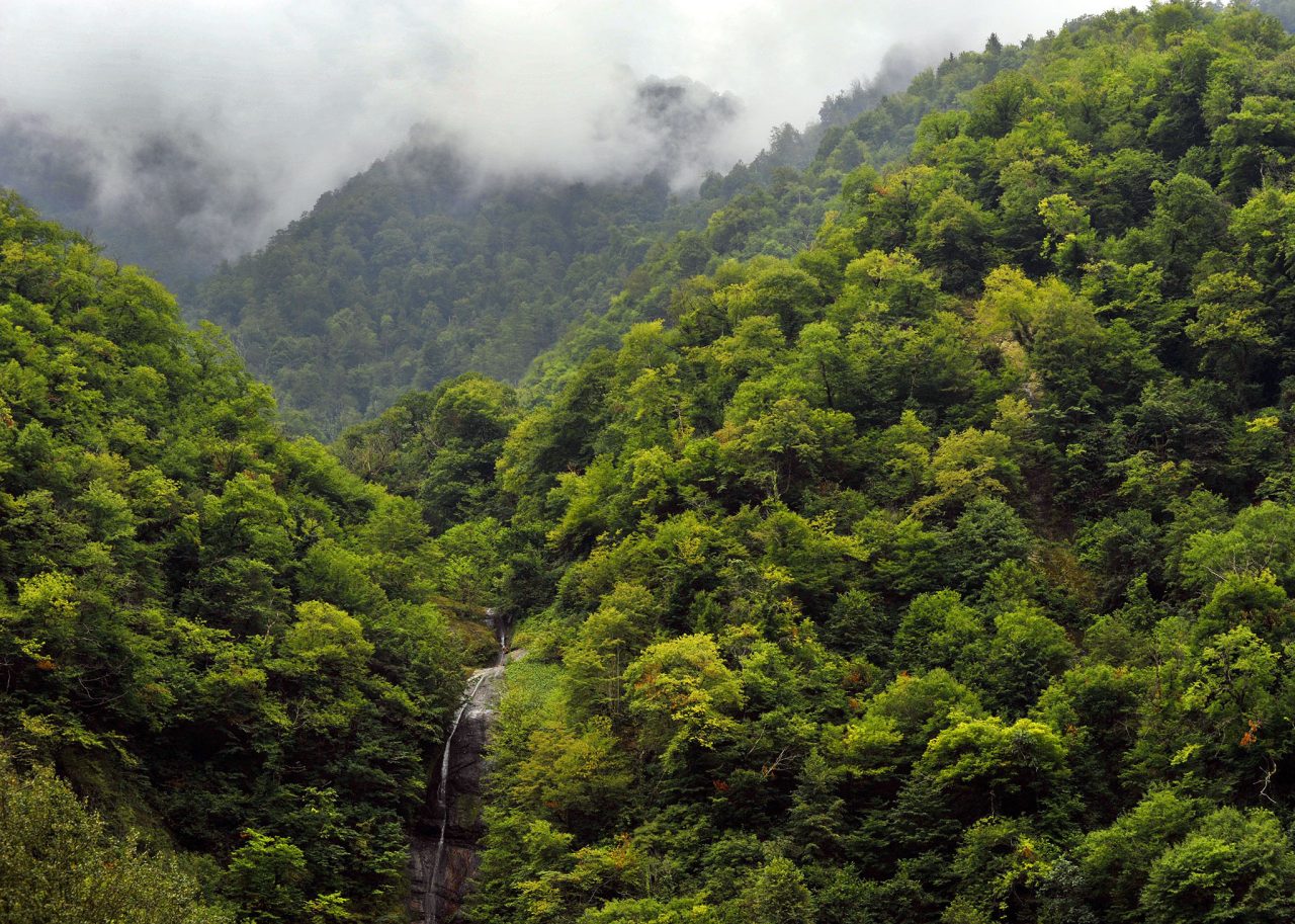 Protected Areas and National Parks of Georgia: The Complete 2026 Guide 7 Machakhela national park