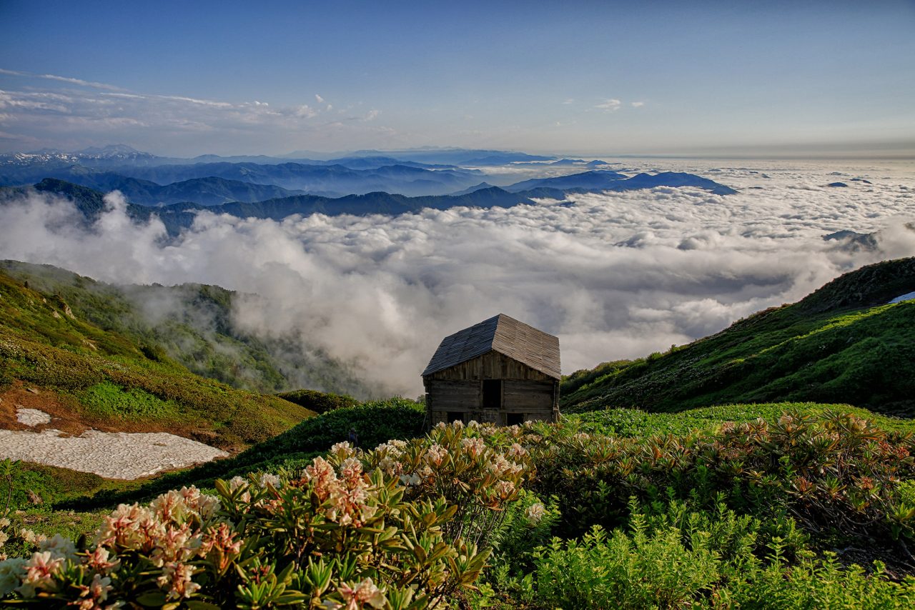 Protected Areas and National Parks of Georgia: The Complete 2026 Guide 8 kintrishi national park