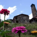 Dartlo