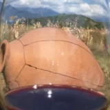 Wine tours in georgia