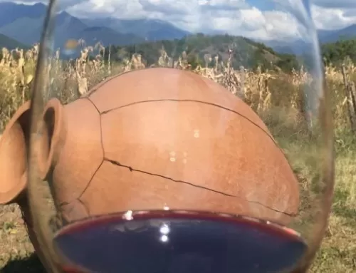 Enjoy amazingly captivating Wine Tours in Georgia