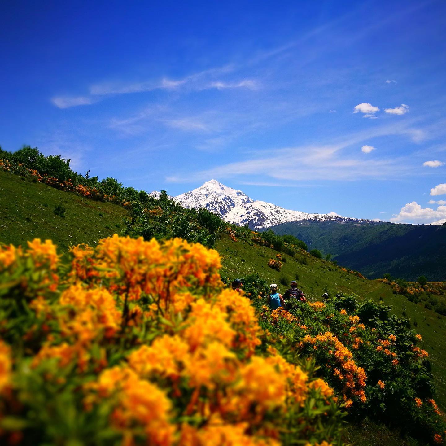 trekking tours in georgia