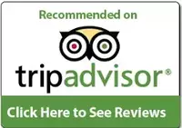 TripAdvisor