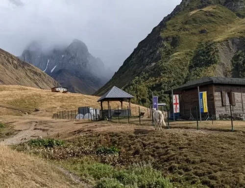 The Best Private Tours in Georgia in 2026