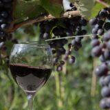 Racha lechkhumi wine