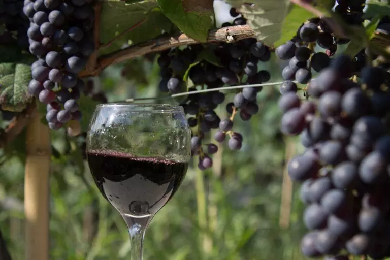 Kutaisi city tour including Gelati monastery and Sataplia 8 Western Georgia Wine Tour: Discover Georgia’s Rarest Wines