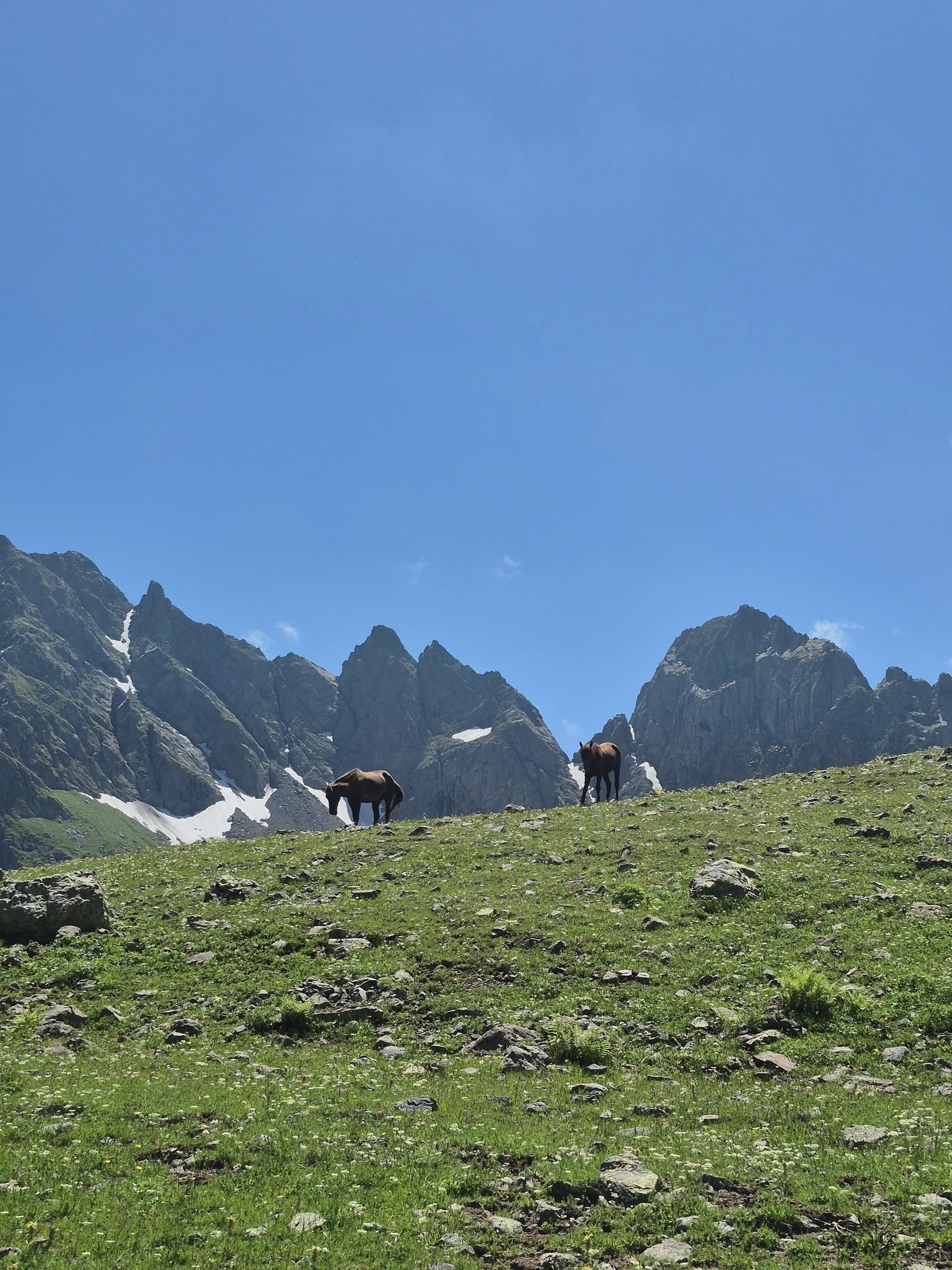 603781020_3783817065081548_1365576905462830860_n Tobavarchkhili lake trek