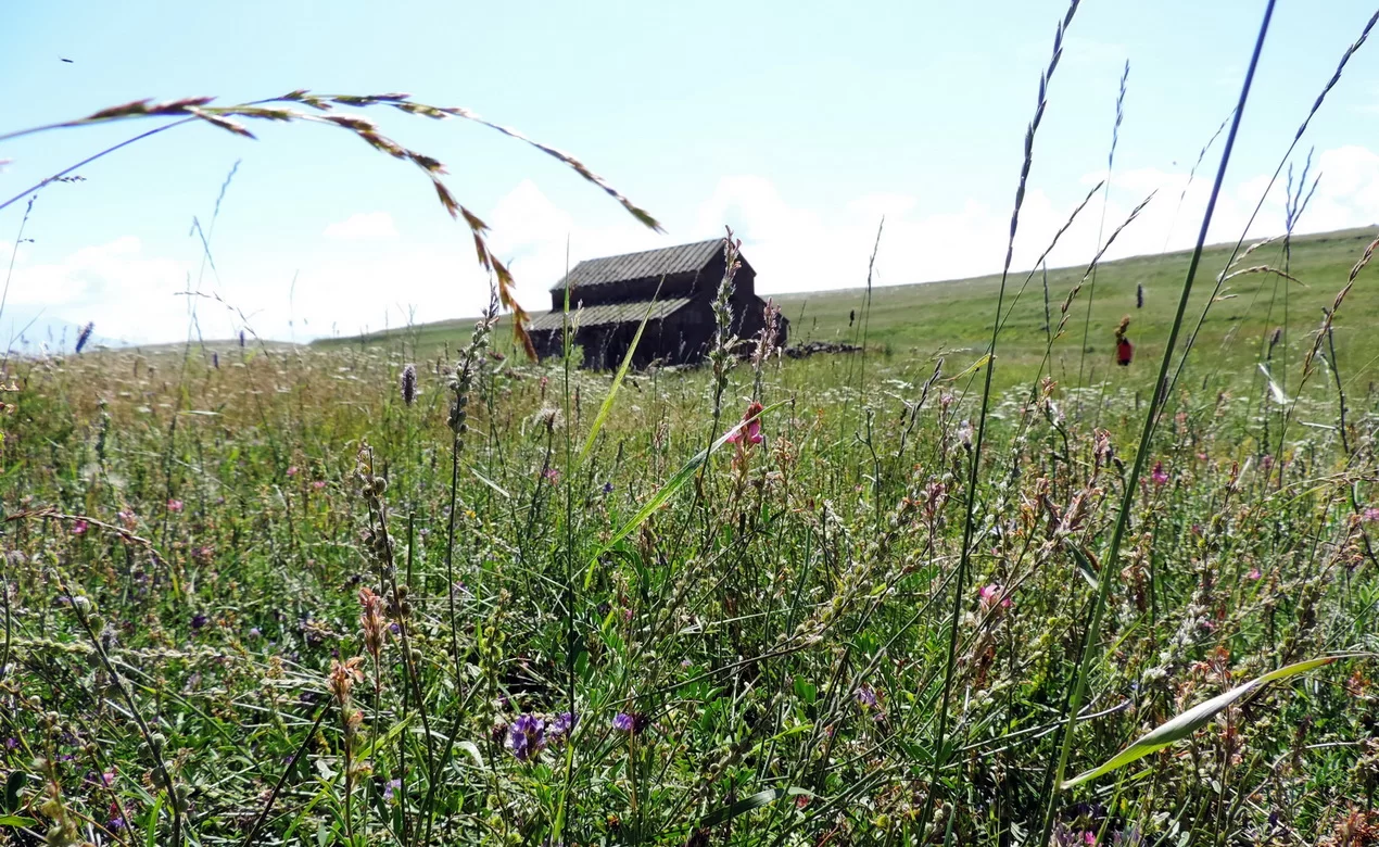 Top 10 Places in Georgia You Should Visit in 2026 14 Tmogvi