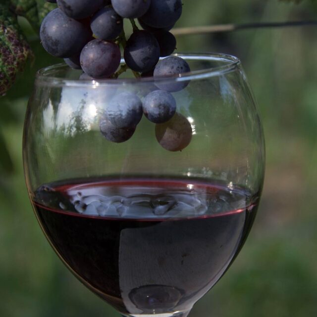 Unforgettable Wine Tour in Western Georgia