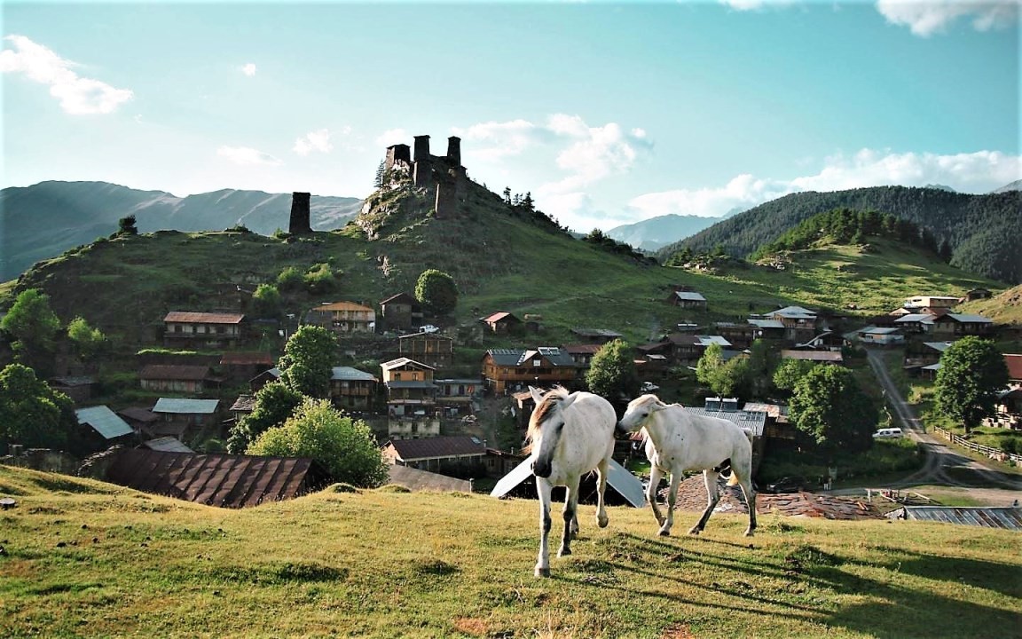 Horse riding tour in georgia