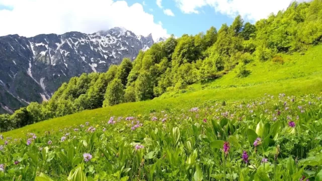 Trekking in Racha mountains 8 Trekking in Racha