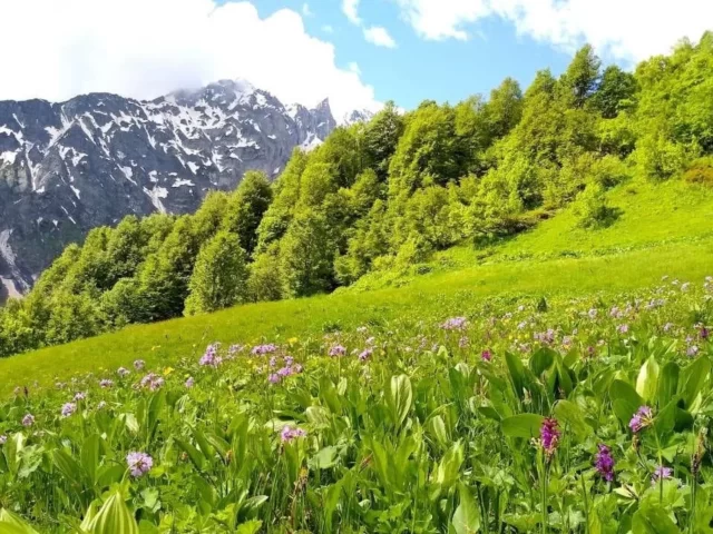 Trekking in Racha mountains