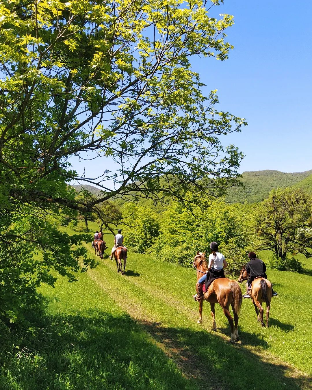 One Day Horse Riding Tour In Tbilisi Highlander Travel