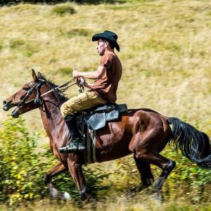 Лаша Ткешелашвили