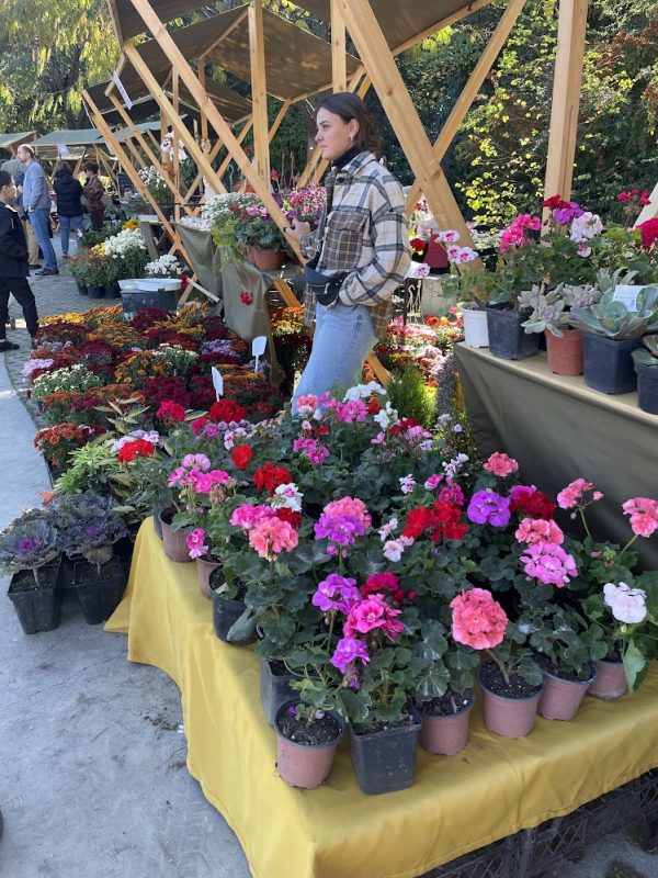 Highlander Travel - Tours in Georgia Autumn Blooms Await: Tbilisi Botanical Garden's Annual Flower Exhibition 2025