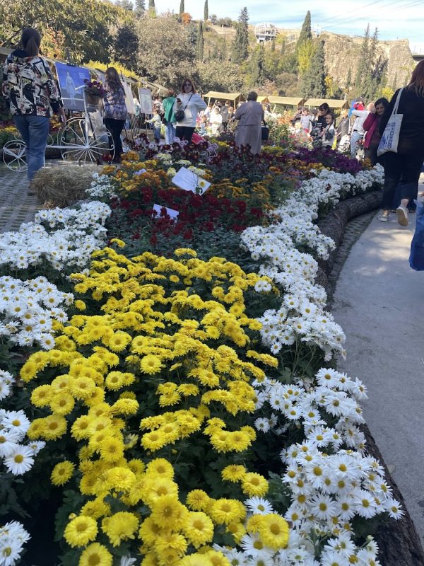 Visit Tbilisi Botanical Garden's flower exhibition Nov 1-2! 150+ chrysanthemum varieties, autumn blooms, local crafts & interactive programs. Don't miss it
