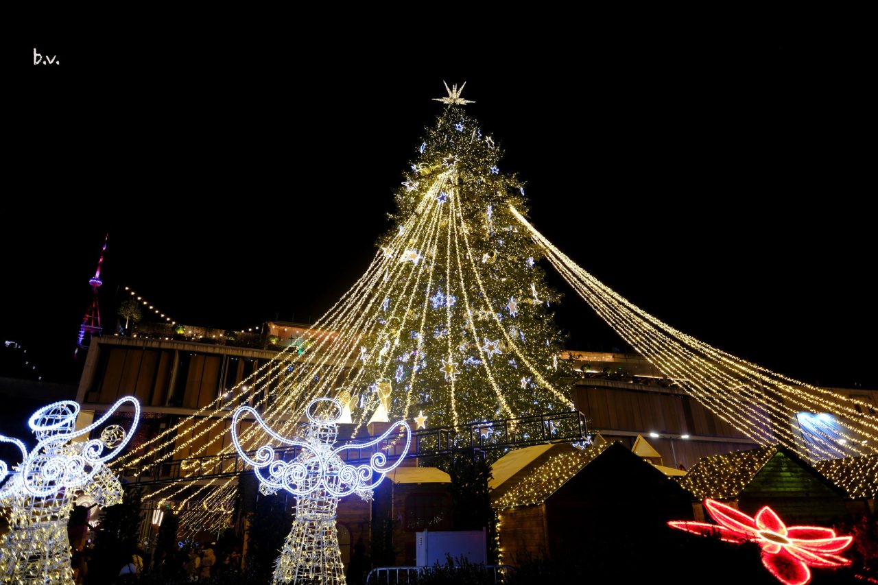 Tbilisi New year