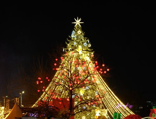 New year in Georgia – Gets Ready for 2026