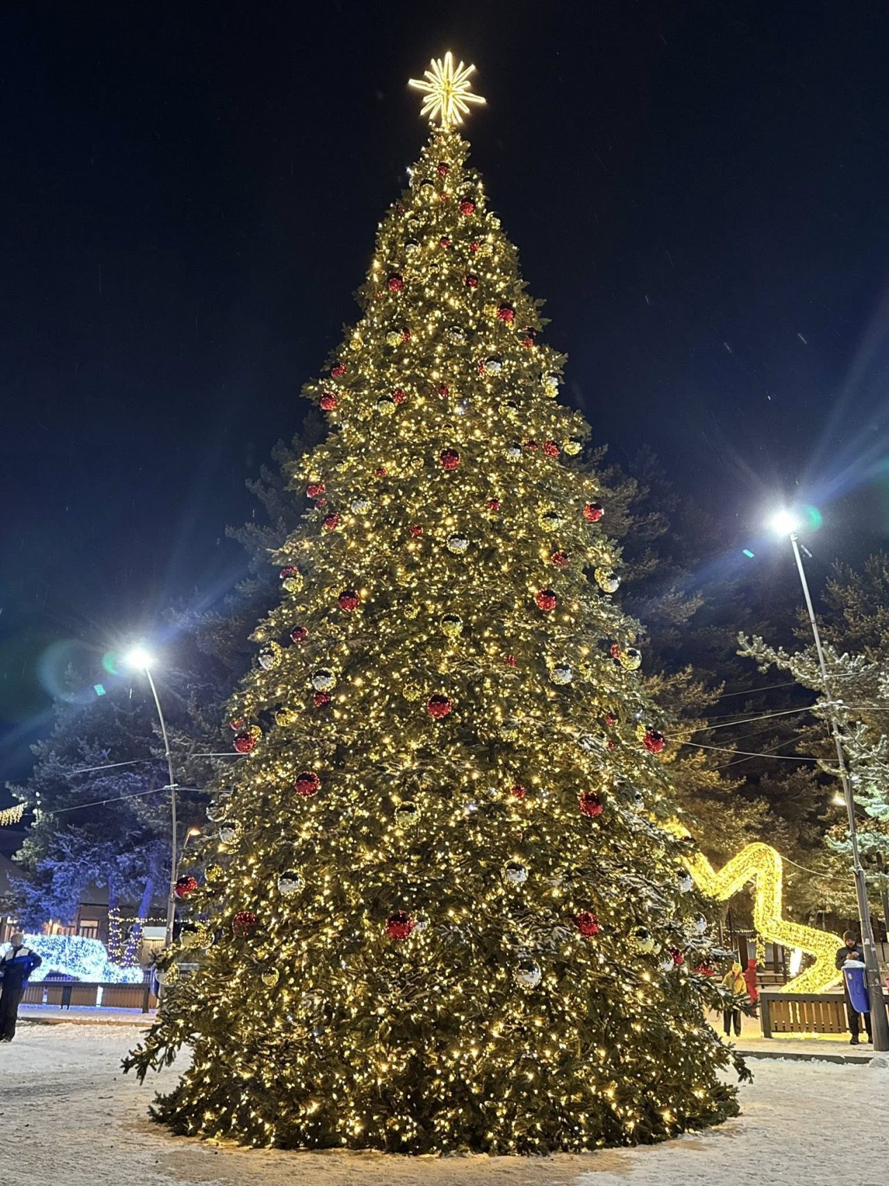 Mestia Christmass tree