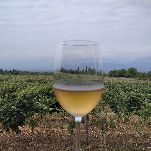 Georgian Wine Varieties: From Saperavi to Rkatsiteli and the Rare Grapes You've Never Heard Of 8 Wine tour in Kakheti