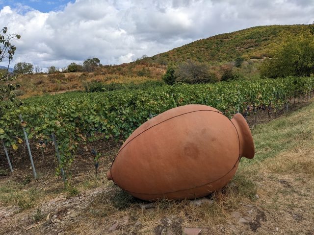 Georgian Wine Varieties: From Saperavi to Rkatsiteli and the Rare Grapes You've Never Heard Of 7 Kvevri in Kakheti vineyard