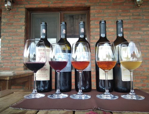 Georgian Wine Varieties: From Saperavi to Rkatsiteli and the Rare Grapes You’ve Never Heard Of