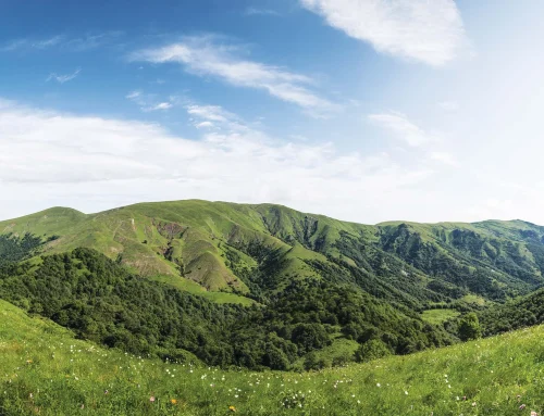 Algeti National Park from Tbilisi: 2026 Guide