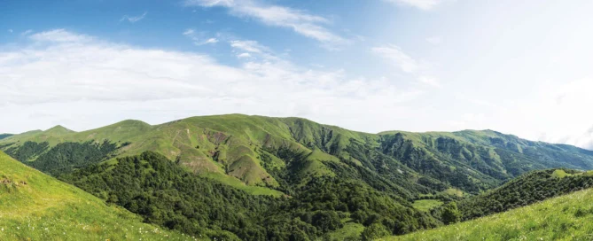 Algeti national park. National parks of Georgia