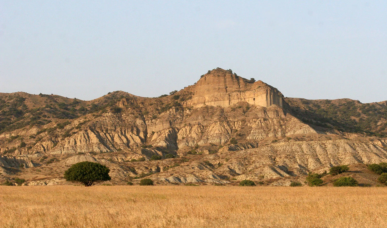 Chachuna managed reserve