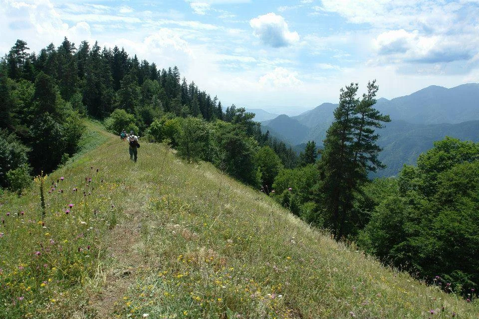 Borjomi - Kharagauli National Park