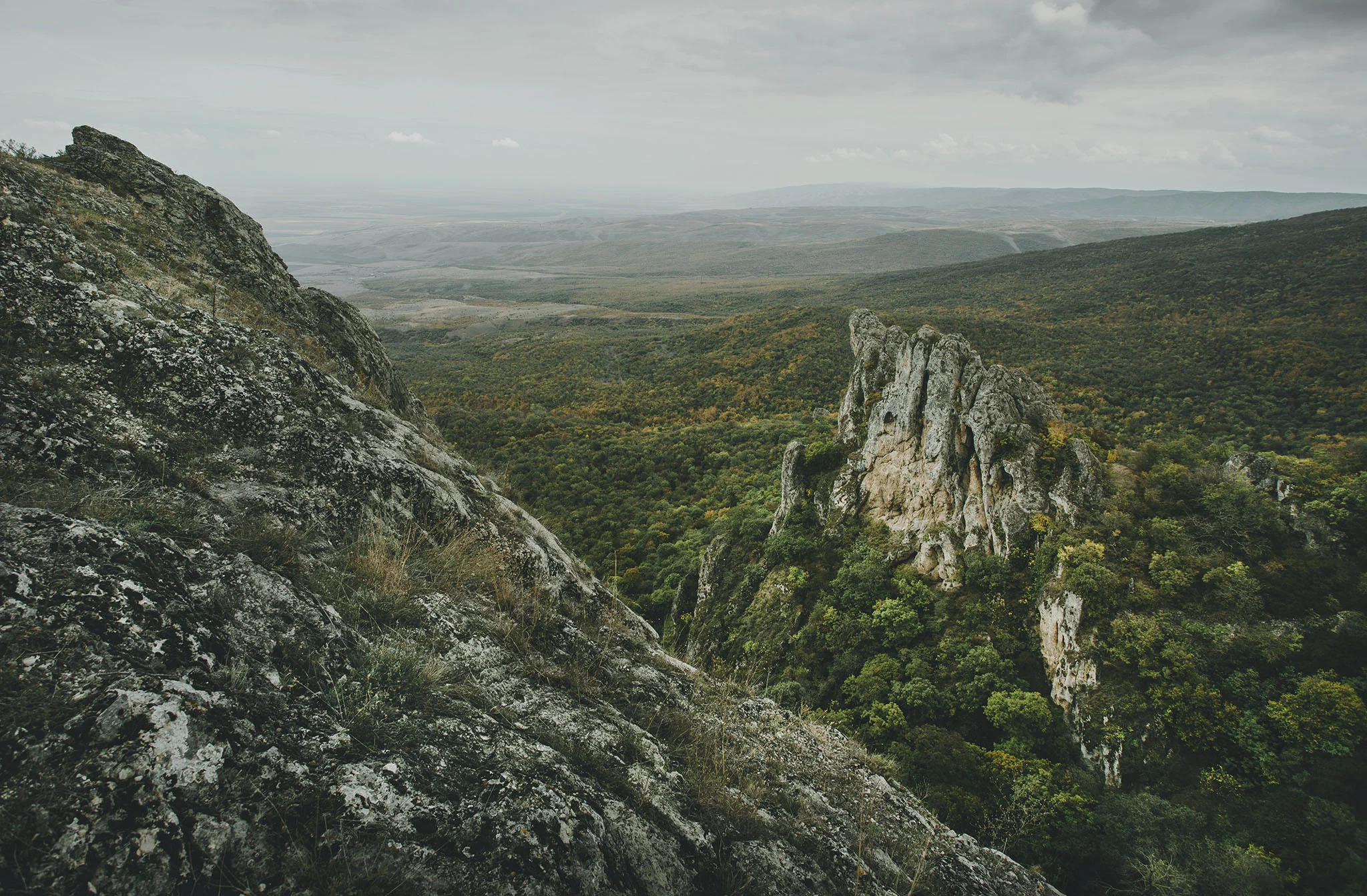 Vashlovani National park
