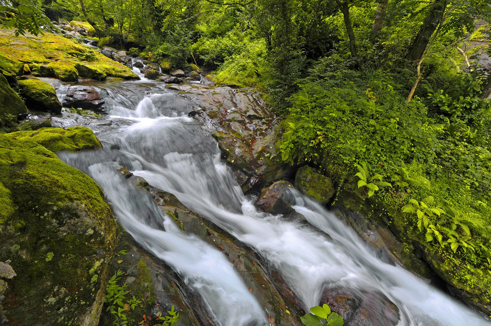 Machakhela national park