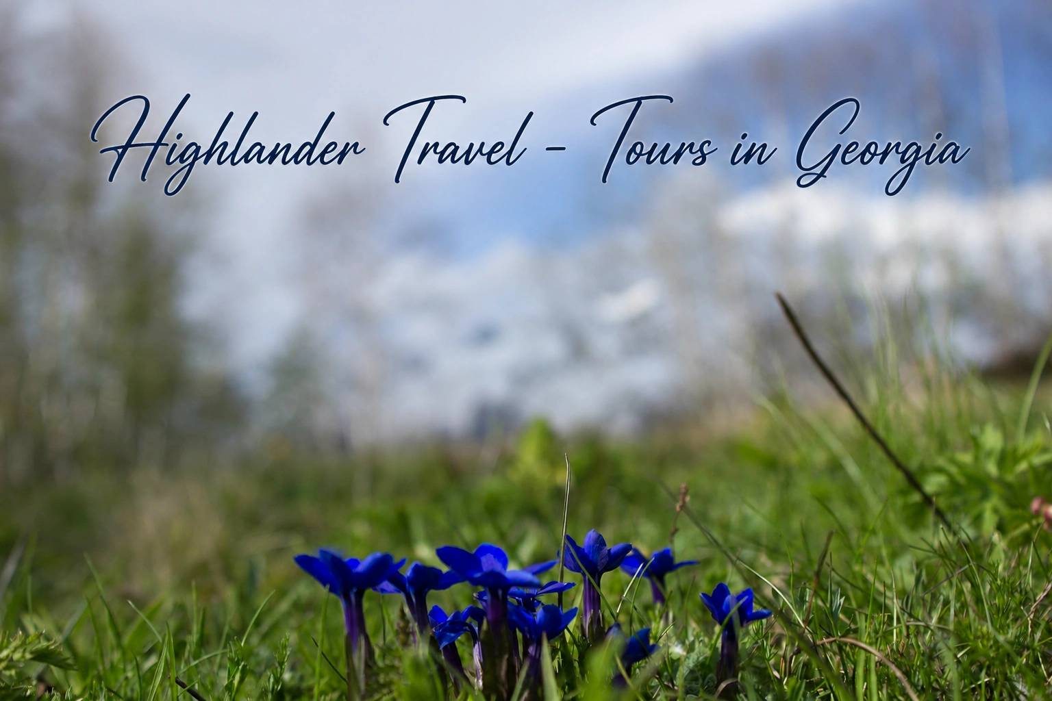 Highlander Travel about