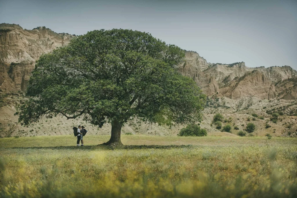 Vashlovani and Sighnaghi: Georgia’s Badlands in a Day