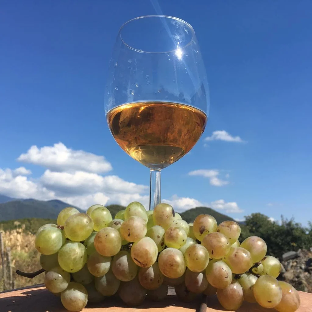 2-Day Kakheti Wine Tour from Tbilisi