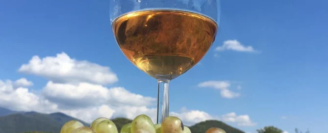 Two day Kakheti wine tour from Tbilisi